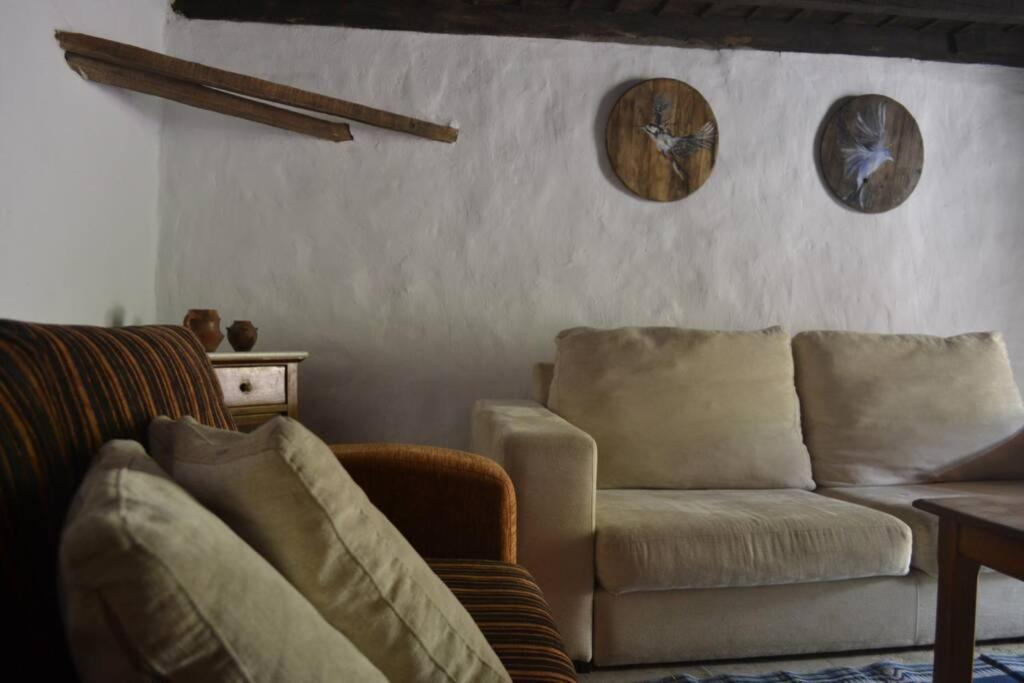 Casa Rural Lomito Del Pino Tejeda  Exterior photo