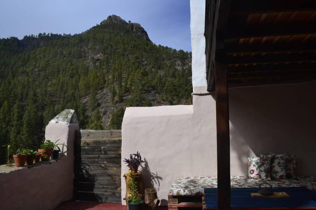 Casa Rural Lomito Del Pino Tejeda  Exterior photo