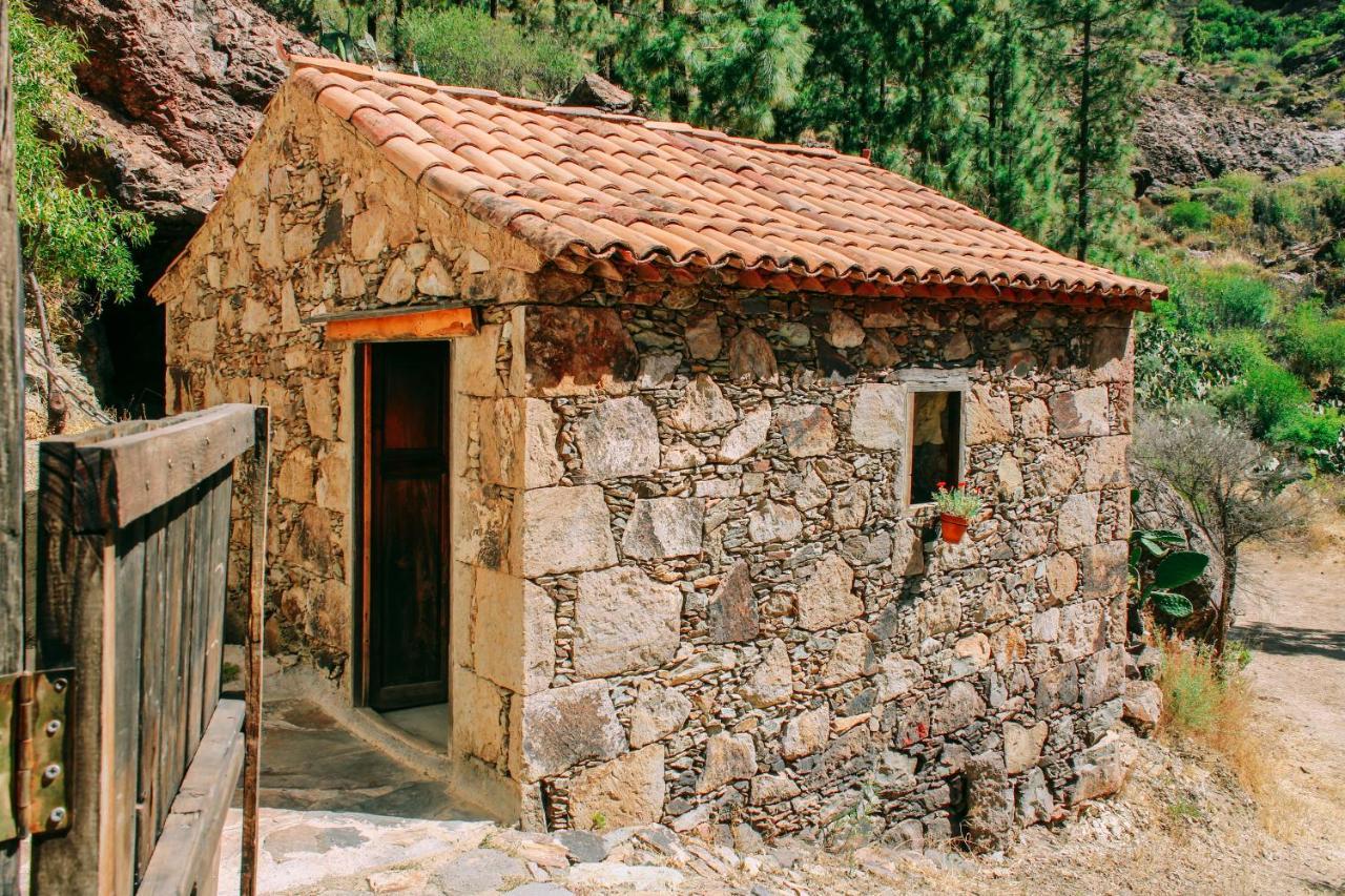 Casa Rural Lomito Del Pino Tejeda  Exterior photo
